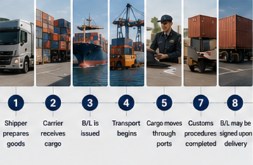Processo di spedizione passo dopo passo con utilizzo della Polizza di Carico nella logistica internazionale